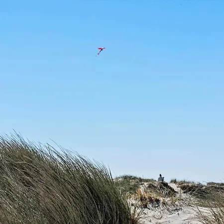 بيت للعطل 414-hvide-sande-tingodden-55 فيد ساندي