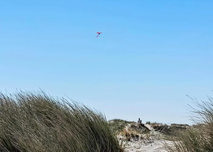 Semesterbostad 414-hvide-sande-tingodden-55 Hvide Sande